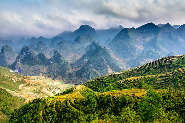 Cao nguyên đá đồng văn